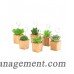 Bloomsbury Market Succulents in Pot Place Card Holder BLMK7880